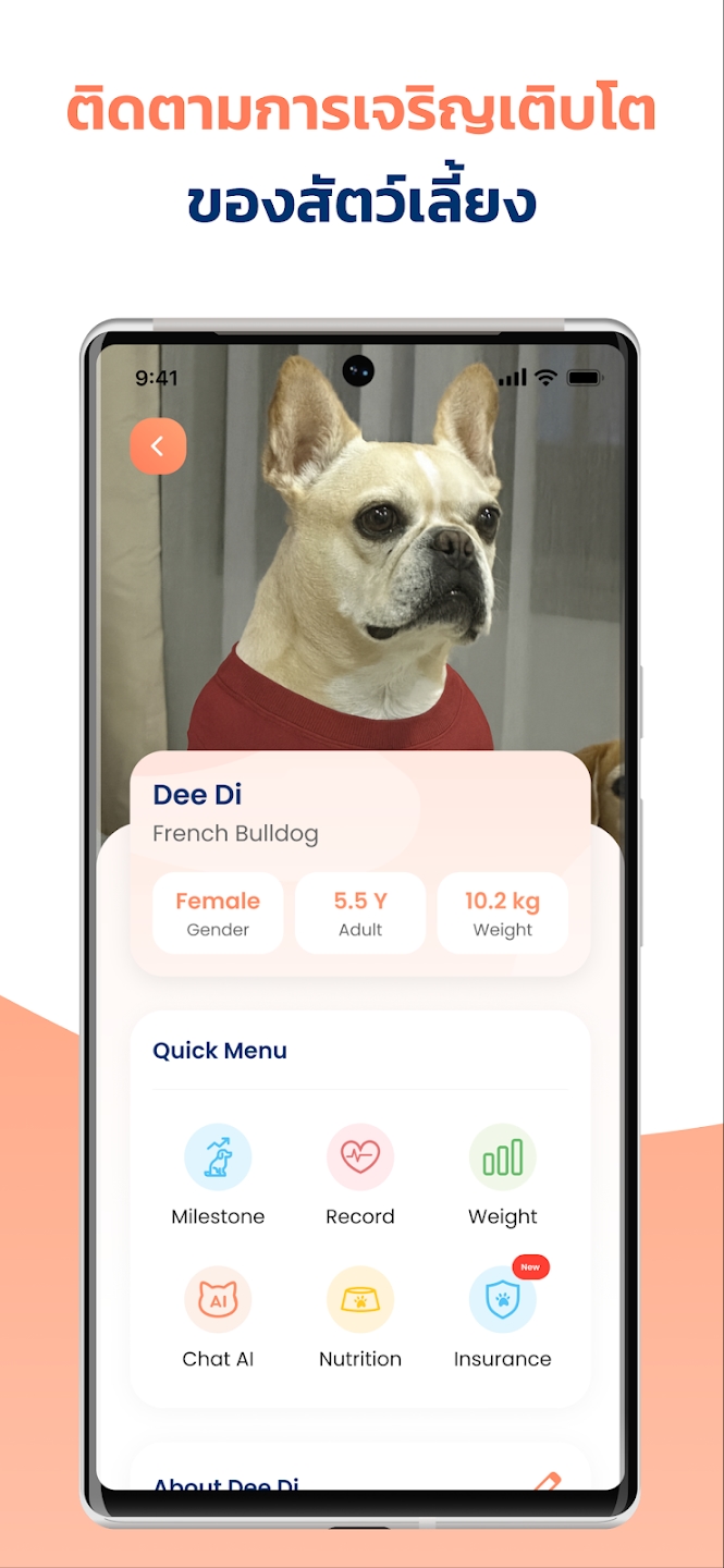 LOOKLOOK PET Platform screenshot 3