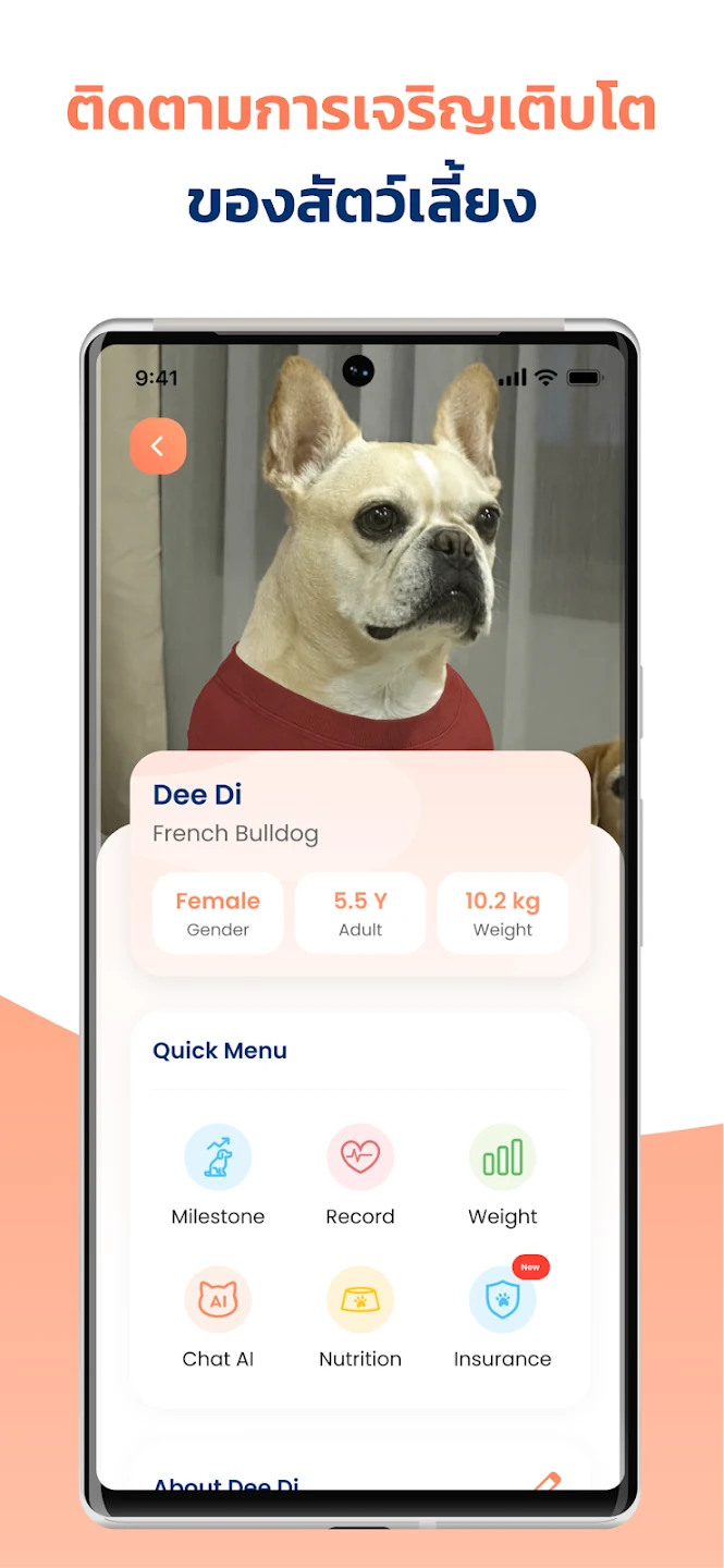 LOOKLOOK PET Platform screenshot 3